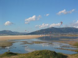 playa kite