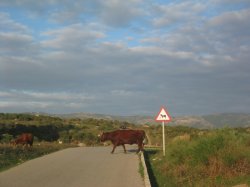 lapena strasse