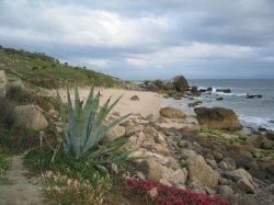 punta paloma