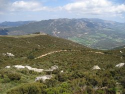 facinas weg2