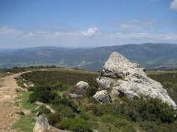 facinas weg3
