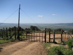 facinas kuhgatter