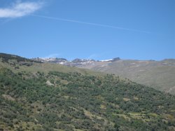 picos nevados