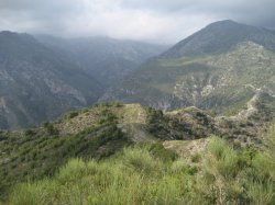 Cortafuego