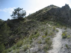 Cortafuego1