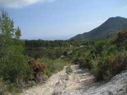 El Pinarillo1