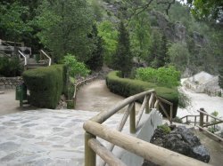 Blanquillo1