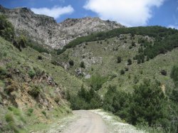 Blanquillo3