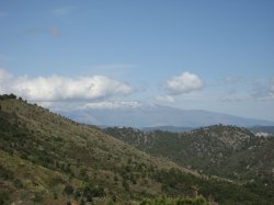 Blanquillo5
