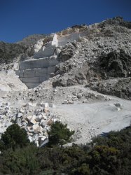 Blanquillo6