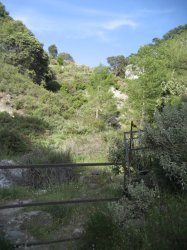 Blanquillo7