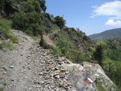 pitres1